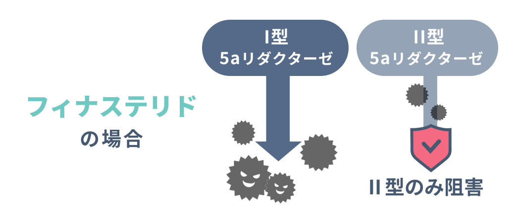 フィナステリドの場合 II型5aリダクターゼ Ⅱ型のみ阻害