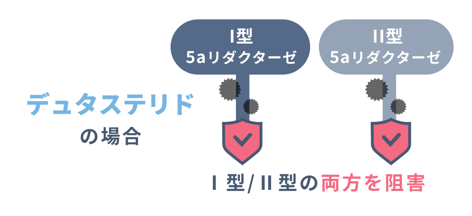 デュタステリドの場合 I型5aリダクターゼ  II型5aリダクターゼ Ⅰ型/Ⅱ型の両方を阻害